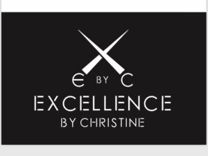 excellence logo.jpg